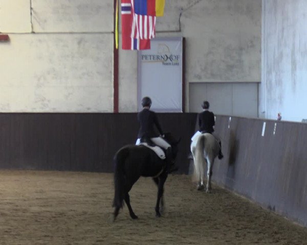 Reitturnier St. Peter Ording 2020