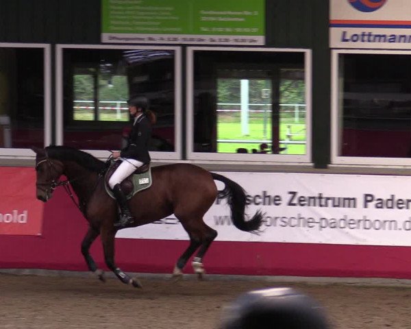 Reitturnier Salzkotten 2020