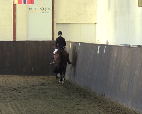 Reitturnier St. Peter Ording 2020
