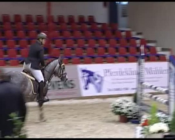 Springpferd Charly Brown A (Oldenburger, 2009, von Checkpoint 19)