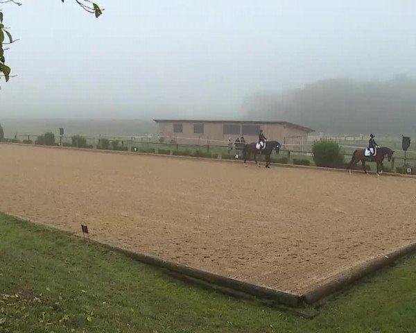 Reitturnier Brünst/Mfr. 2020