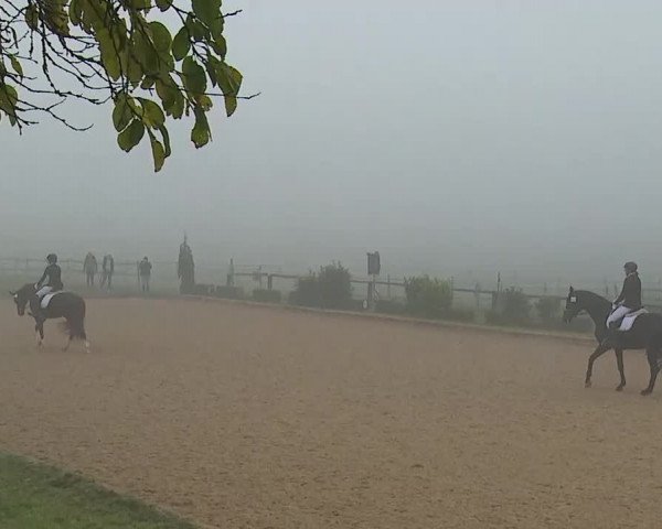 Reitturnier Brünst/Mfr. 2020