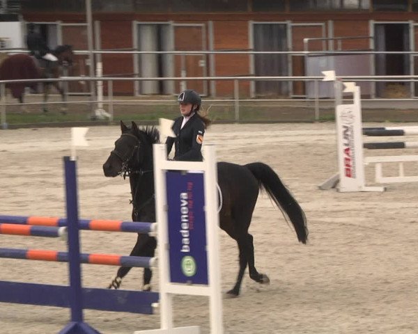 Reitturnier Achern 2020