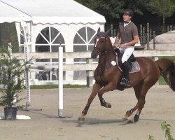 broodmare Callgirl 11 (Oldenburg show jumper, 2007, from Calvaro Z)