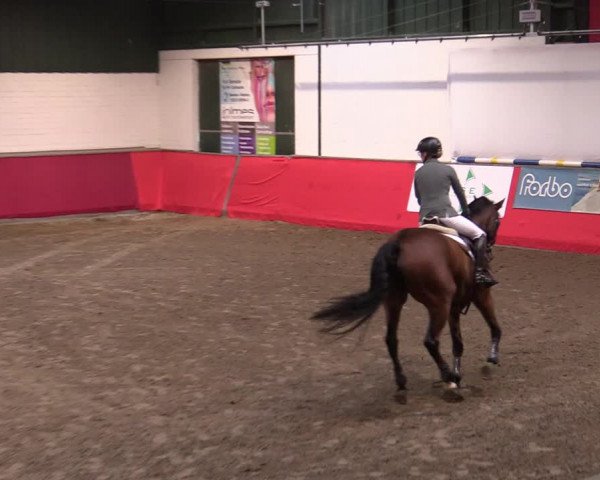 Reitturnier Salzkotten 2020
