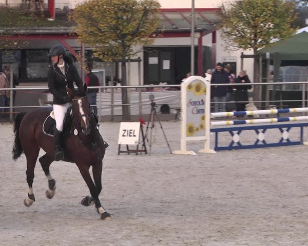 Reitturnier Achern 2020