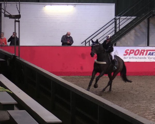 Reitturnier Salzkotten 2020