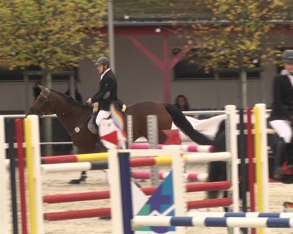 Reitturnier Achern 2020