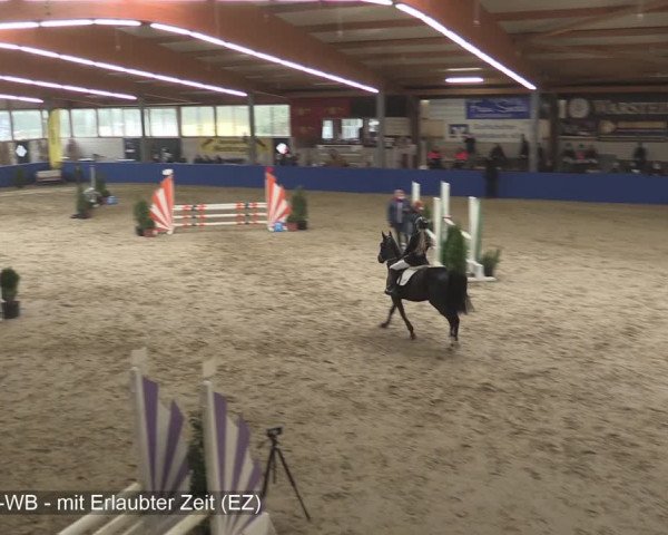 Reitturnier Isterberg 2020