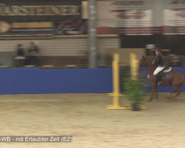 Reitturnier Isterberg 2020