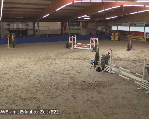 Reitturnier Isterberg 2020