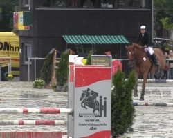 jumper Royal Rubin 10 (Hanoverian, 2002, from Radiator)