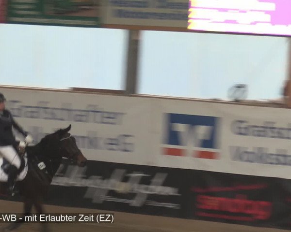Reitturnier Isterberg 2020
