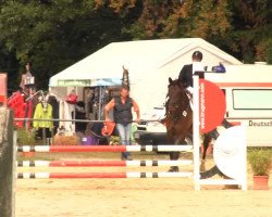 Caballo de salto Lennox MG (Westfaliano,  , de Luminatus)