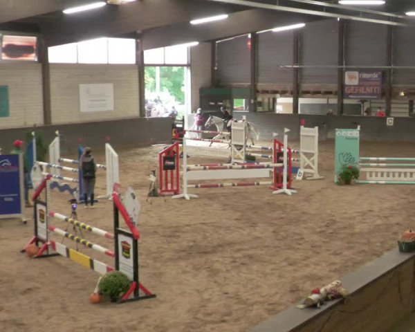 Reitturnier Heilbronn 2020