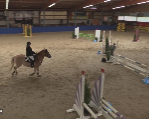 Reitturnier Isterberg 2020
