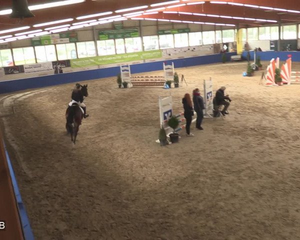 Reitturnier Isterberg 2020