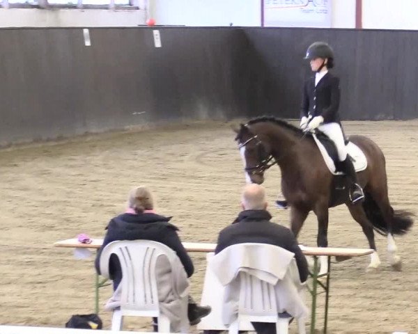 Reitturnier St. Peter Ording 2020