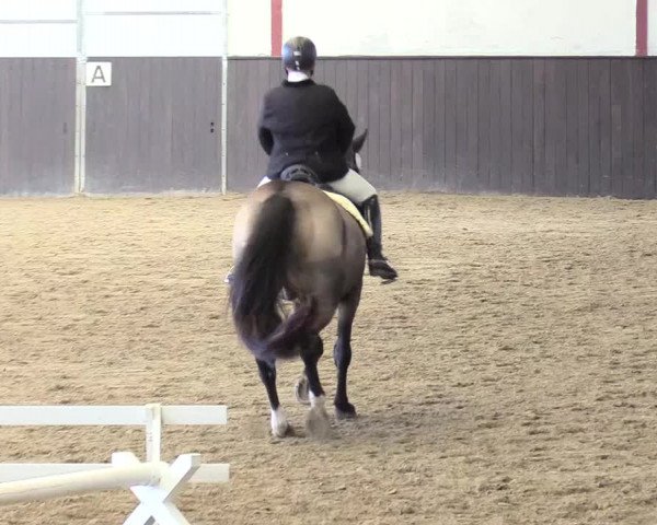 Reitturnier St. Peter Ording 2020