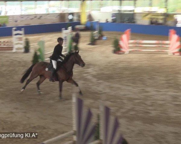Reitturnier Isterberg 2020