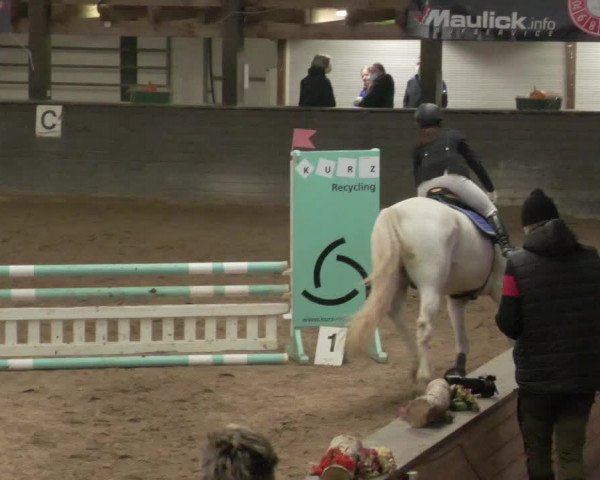 Reitturnier Heilbronn 2020