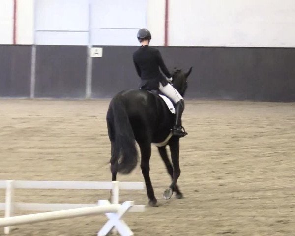 Reitturnier St. Peter Ording 2020
