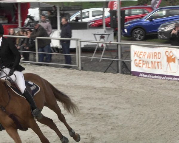 Reitturnier Achern 2020
