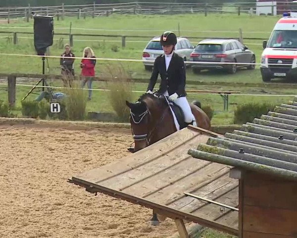 Reitturnier Brünst/Mfr. 2020