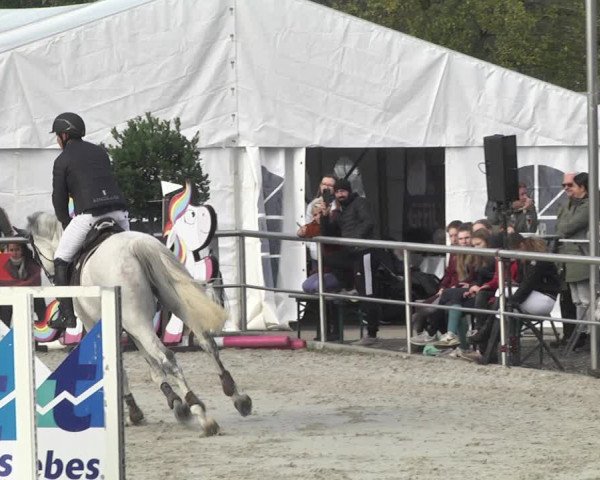 Reitturnier Achern 2020