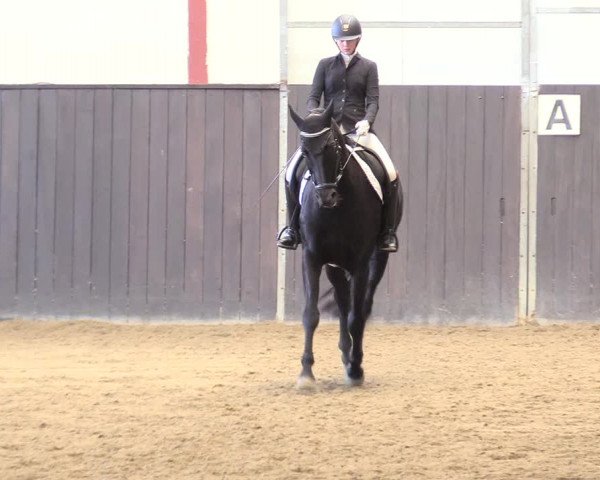 Reitturnier St. Peter Ording 2020