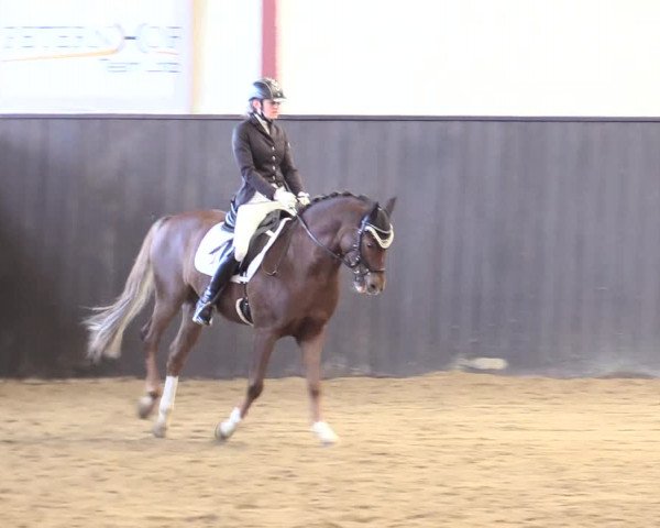 Reitturnier St. Peter Ording 2020