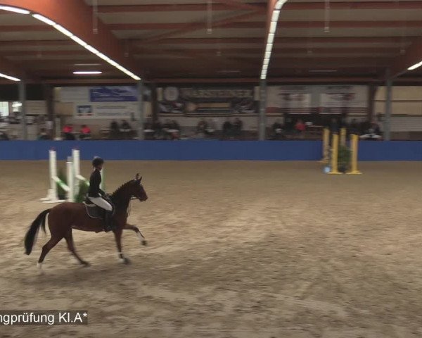 Reitturnier Isterberg 2020