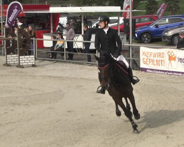 Reitturnier Achern 2020
