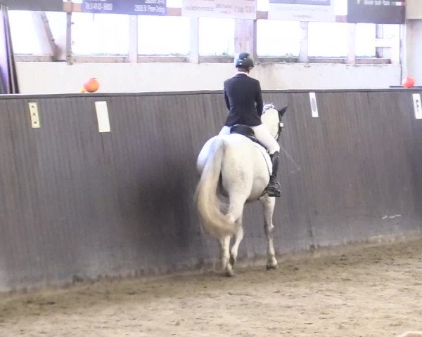 Reitturnier St. Peter Ording 2020