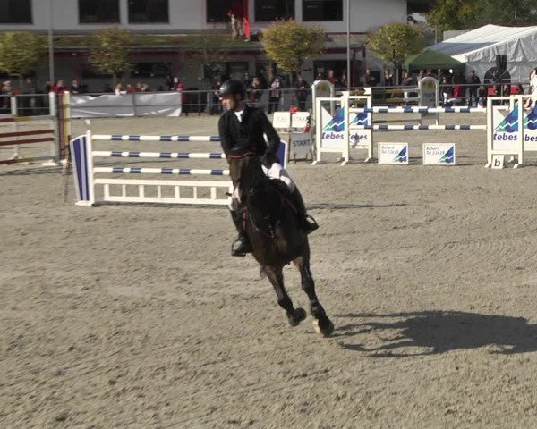 Reitturnier Achern 2020