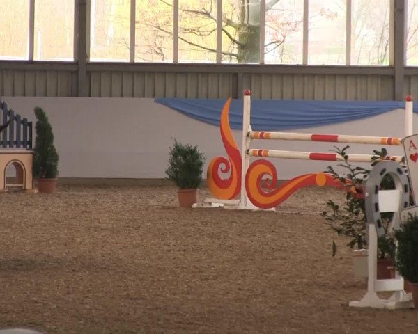 jumper Athina 28 (German Sport Horse, 2009, from Alcatel)