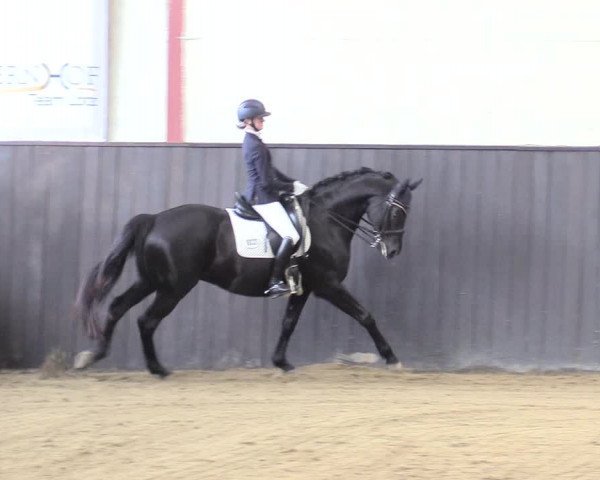 Reitturnier St. Peter Ording 2020