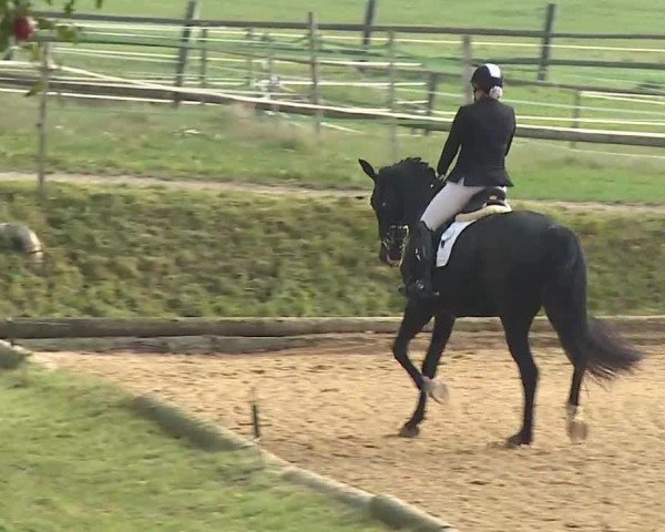 Reitturnier Brünst/Mfr. 2020