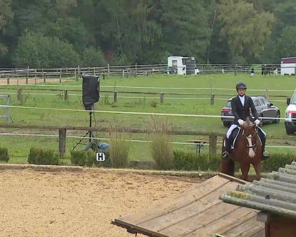 Reitturnier Brünst/Mfr. 2020