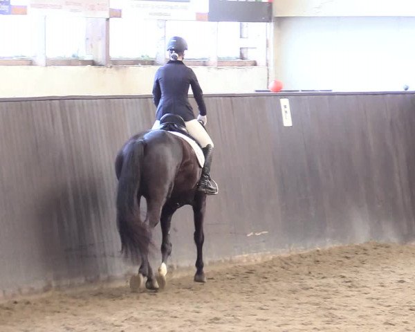 Reitturnier St. Peter Ording 2020
