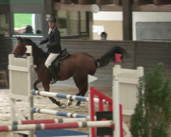 Reitturnier Heilbronn 2020