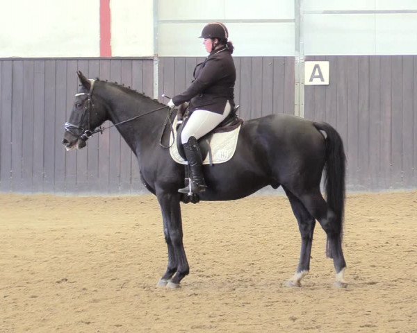 Reitturnier St. Peter Ording 2020