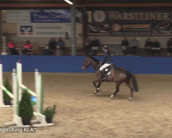Reitturnier Isterberg 2020