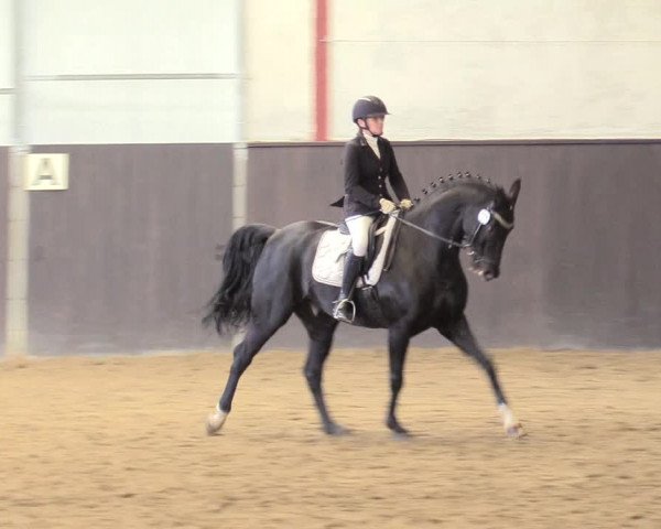 Reitturnier St. Peter Ording 2020