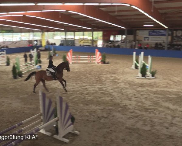 Reitturnier Isterberg 2020