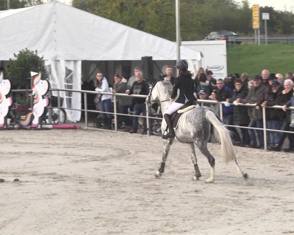Reitturnier Achern 2020