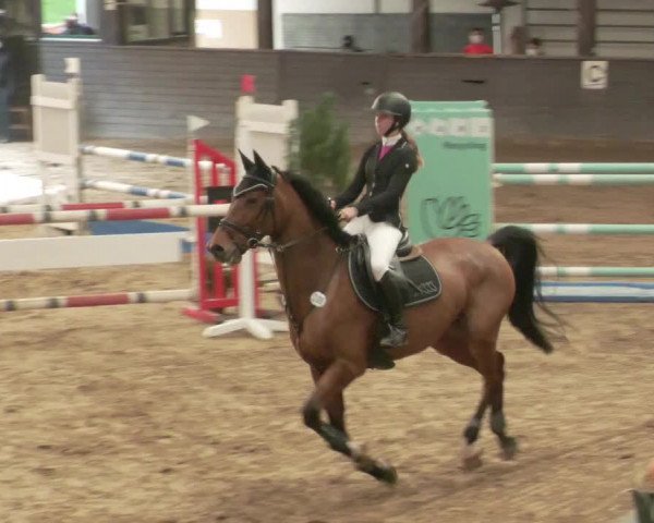 Reitturnier Heilbronn 2020
