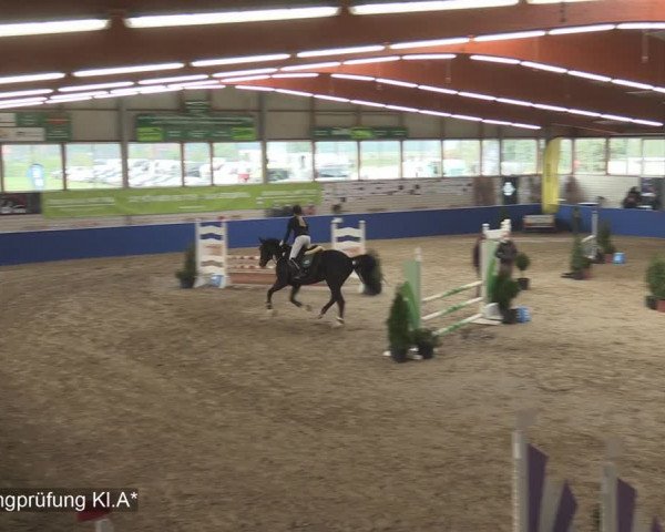 Reitturnier Isterberg 2020