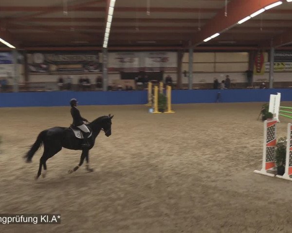 Reitturnier Isterberg 2020
