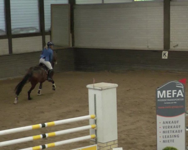 Reitturnier Heilbronn 2020
